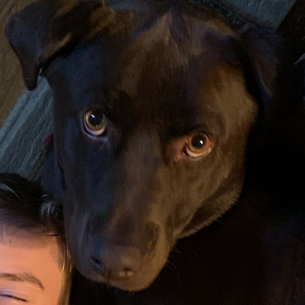 Meet your Posher, Heidi